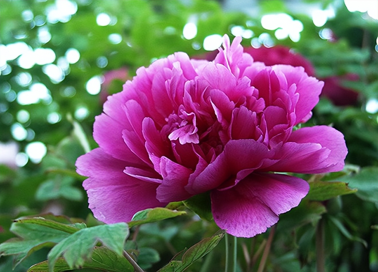 朋友恋人红颜知己有什么区别,什么叫朋友红颜知己