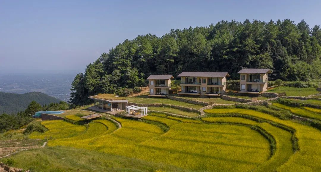 乡村振兴谋划不全不细典型案例,国内外乡村振兴典型代表及案例