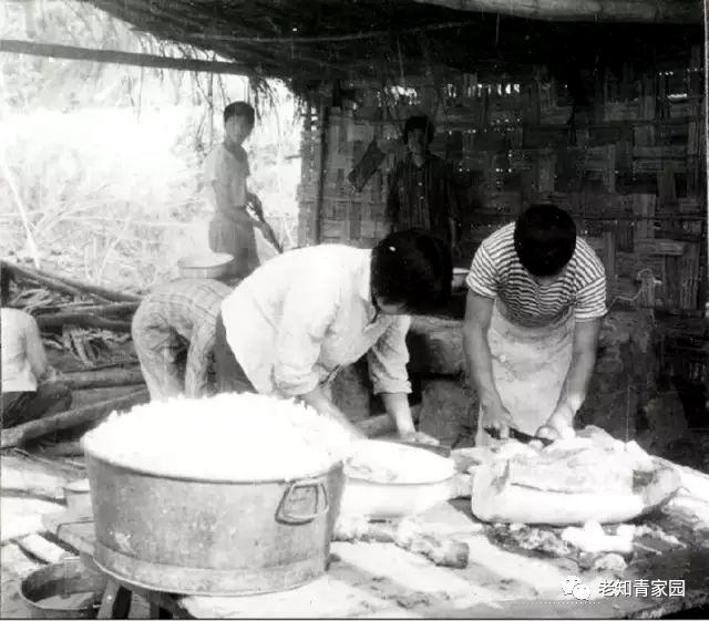 上山下乡的知青文化,知青上山下乡聚餐