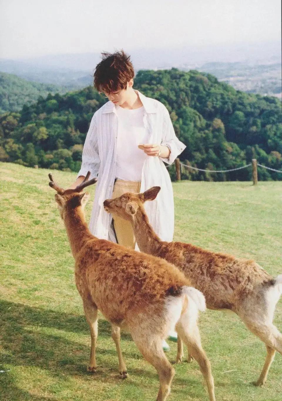 校草脸男星图鉴,男校草图片帅气