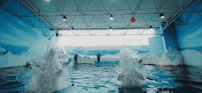 怪楼奇园景点门票,怪楼奇园要门票吗