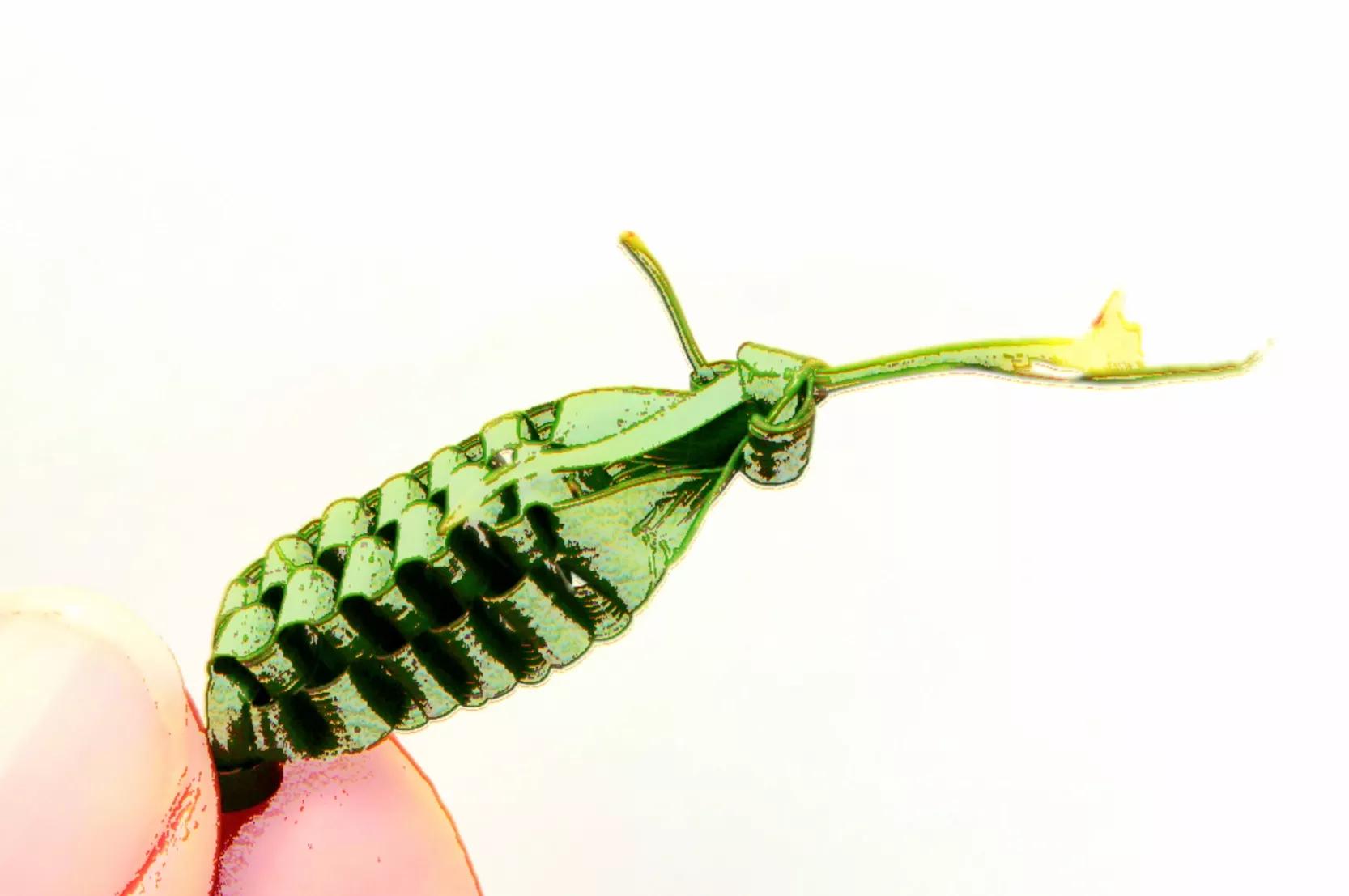 这样的小蜂窝，是不是也唤醒了你的童年记忆？