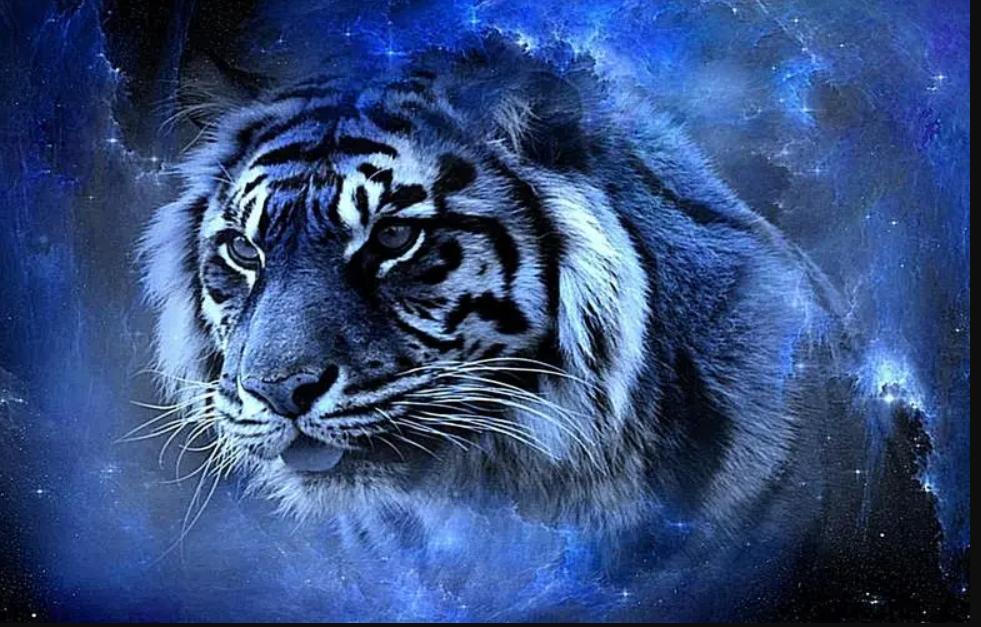 关于虎的诗词名句七言,描写虎的诗句古诗有哪些