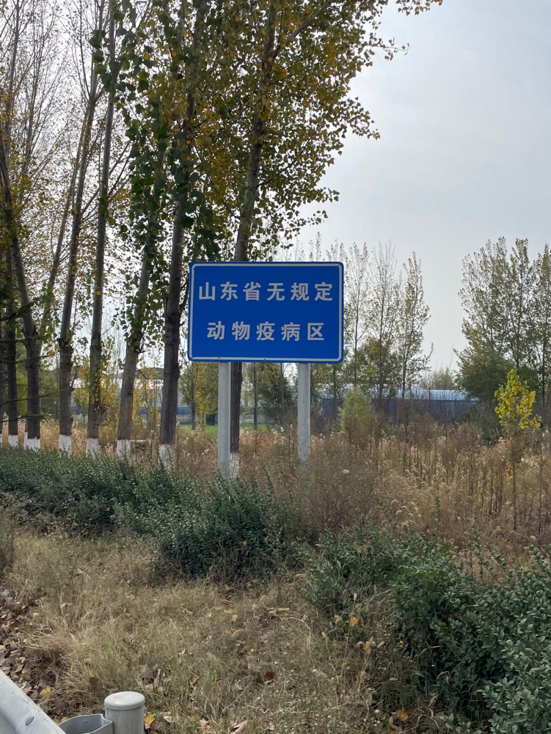 环渤海湾骑行记,环山东骑行日记青岛平度市