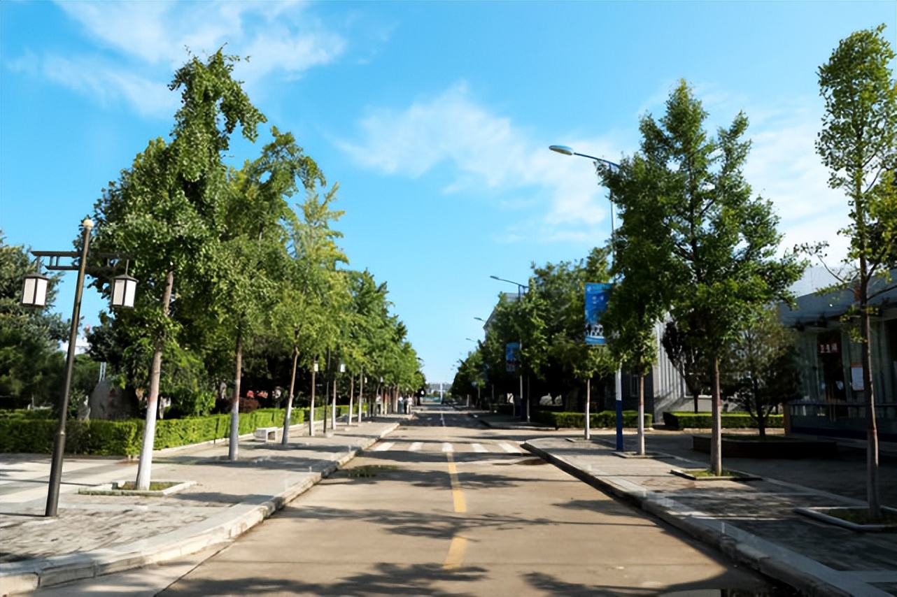 渭南永兴高级中学分数线,渭南永兴高级中学运动会