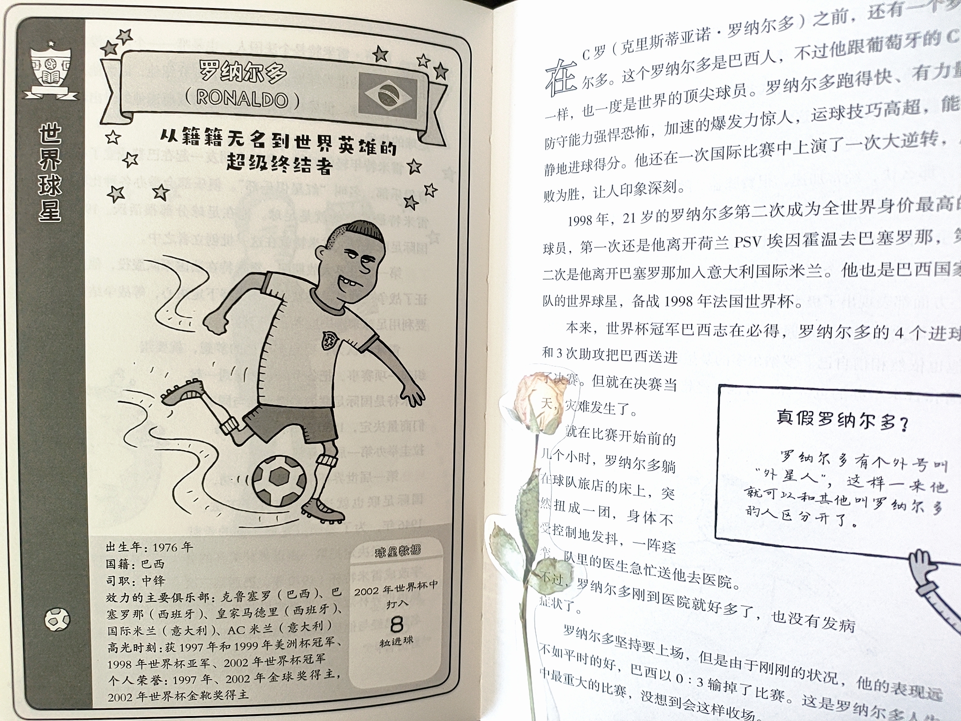 足球名人故事励志故事,足球明星故事50字