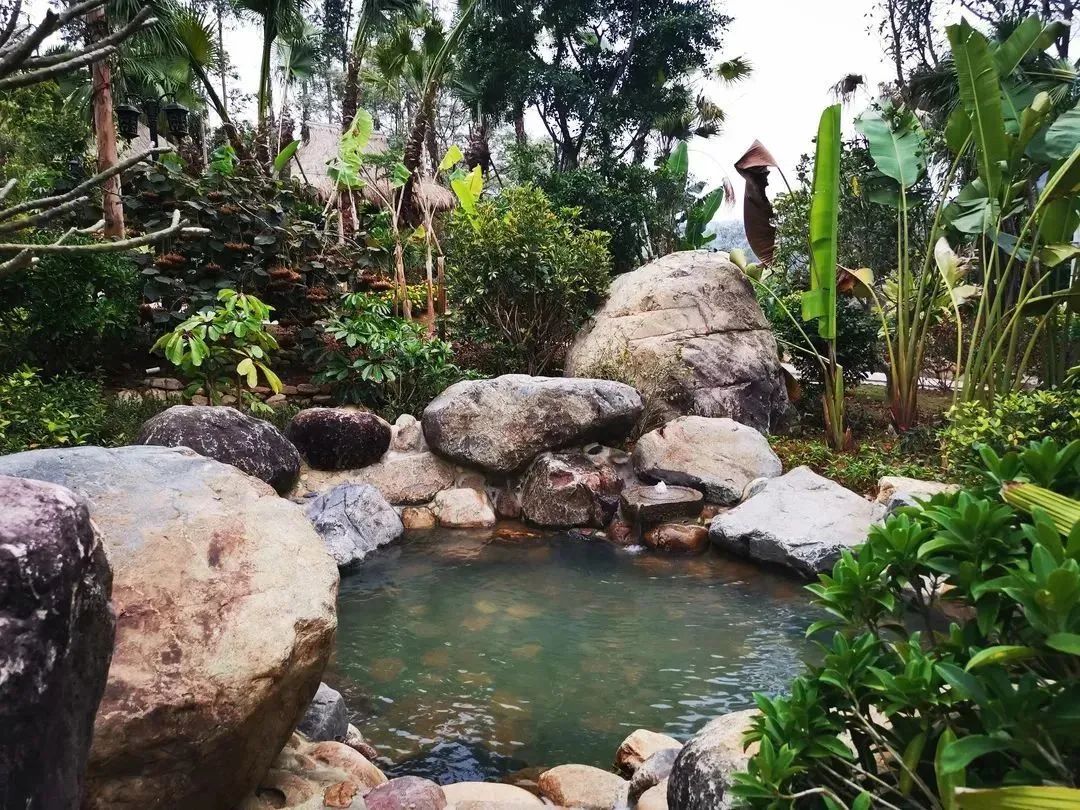 漳州泡温泉旅游攻略路线,春节漳州一日游最佳去处