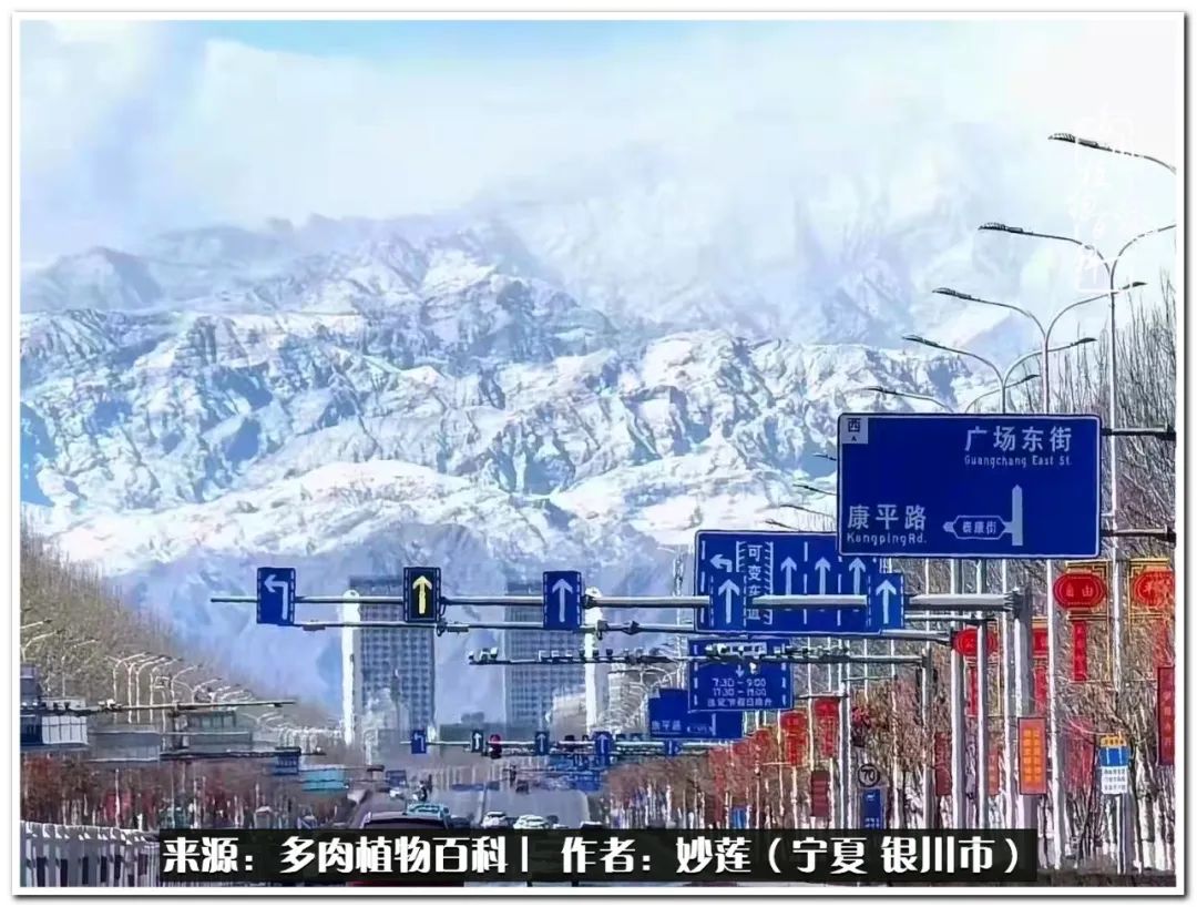 世间繁华三千不如一隅清欢,世间繁华三千不如有一院清欢