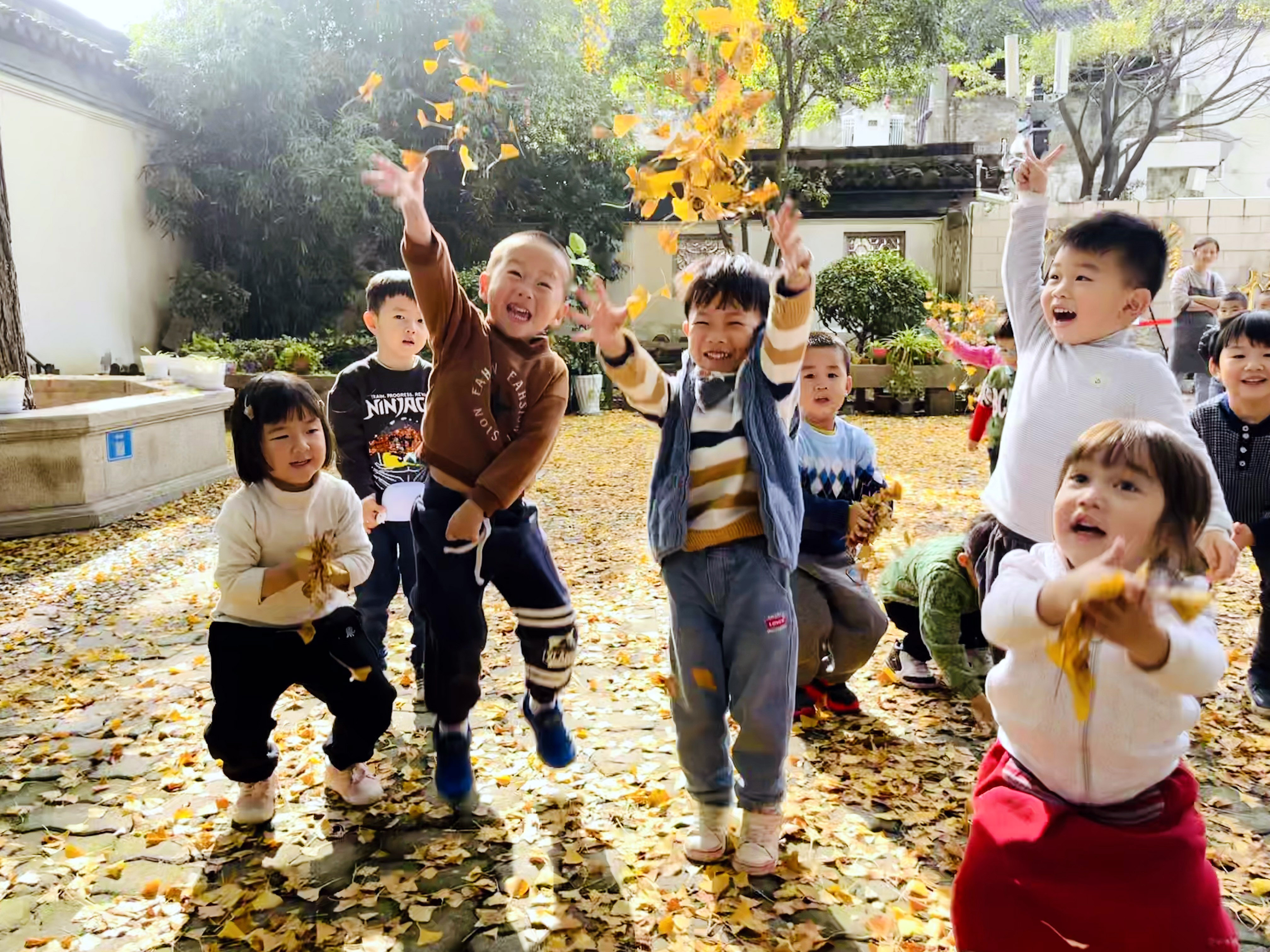 苏州小朋友用双手与银杏叶展开一场亲密接触享受快乐