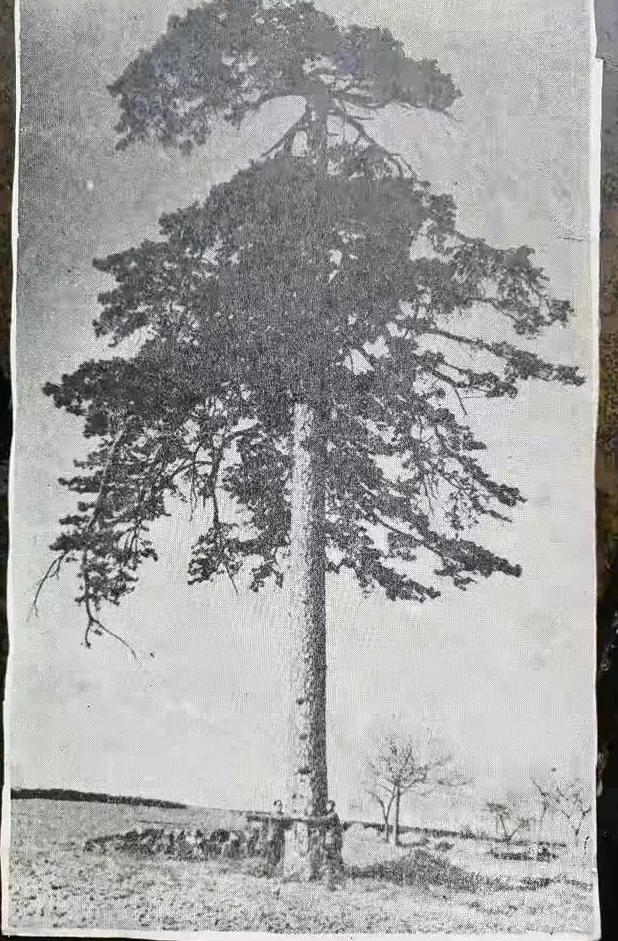 彬州市水口镇牛堡村简志