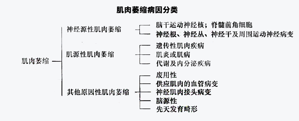 肌肉萎缩什么症状医问医答,罕见病肌肉萎缩症的症状是什么