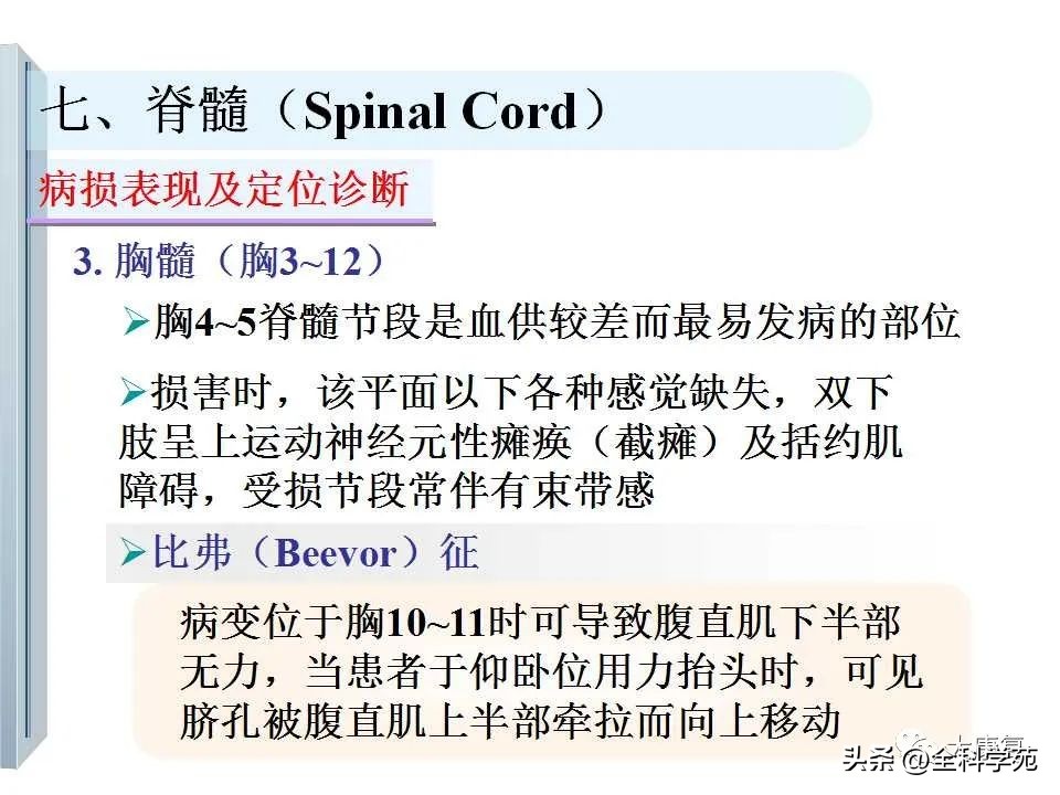 神经系统的影像与解剖定位,最全神经解剖图