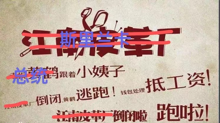 斯里兰卡宣布破产我们怎么办,斯里兰卡破产后的生活