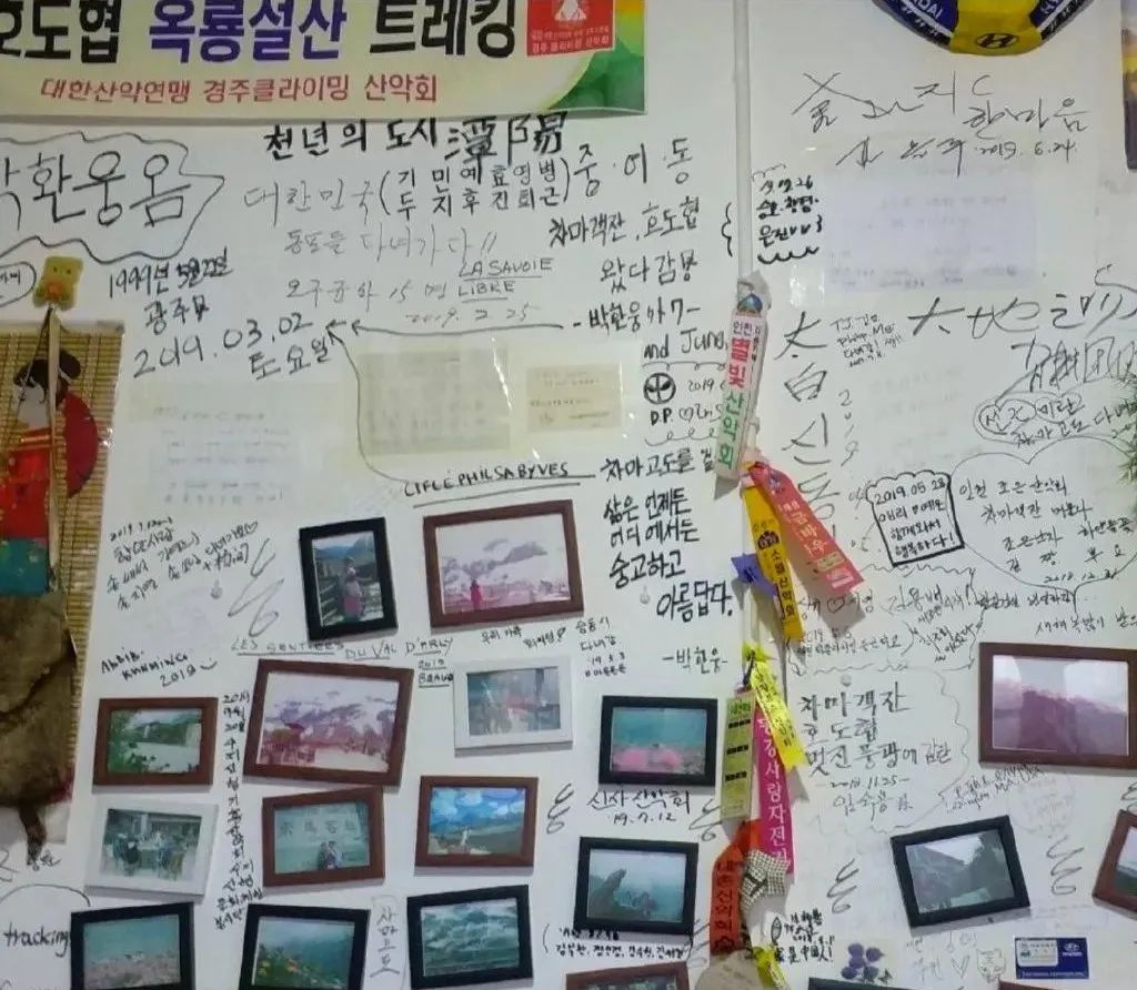 韩国人在云南虎跳峡,韩国人看云南虎跳峡