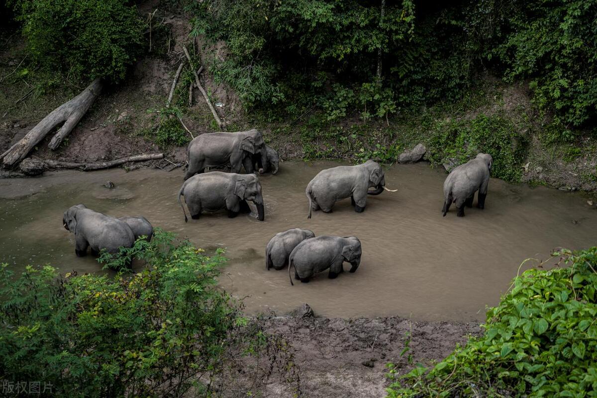 2022云南旅游景点攻略自由行,云南旅游玩得不过瘾