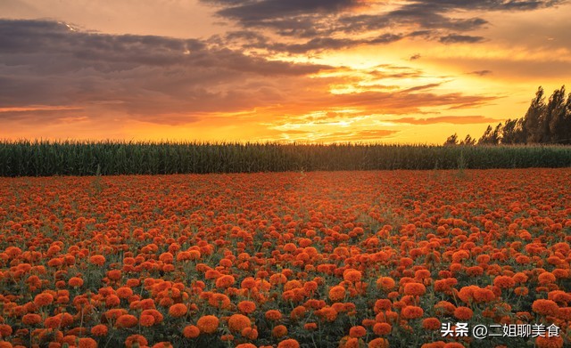 花699元在三亚旅行6天，被强制消费3000元