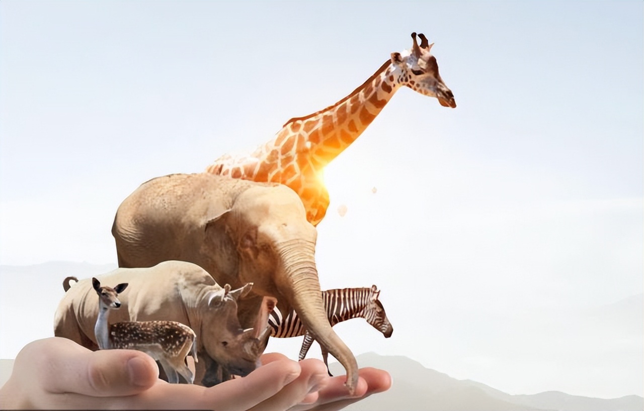 辟谣公园里小象遭针扎,景区回应骆驼遭棒打求饶