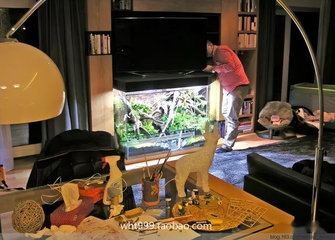 雨林缸超小,雨林缸电视柜