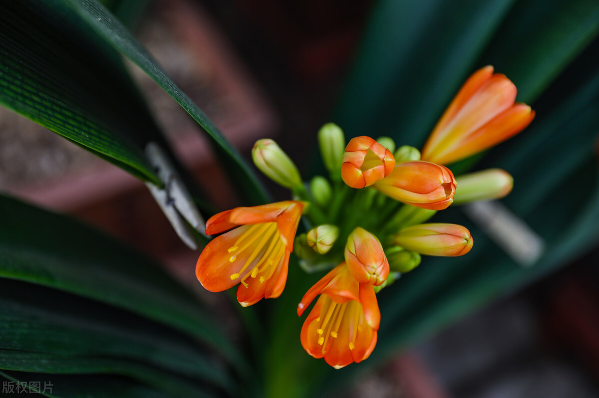 男人让女人失望心凉的短句,男人让女人心凉的几种愚蠢表现