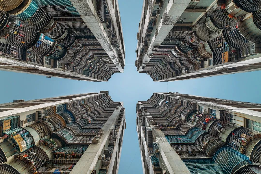 密集恐惧症一下被治好了,这位摄影师