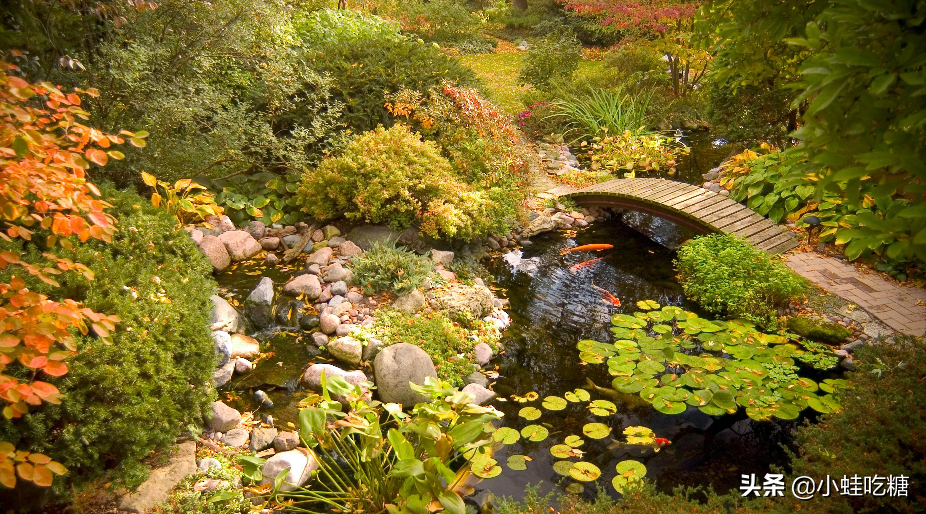 水质清澈的池塘,池塘怎么才能使水质变清澈