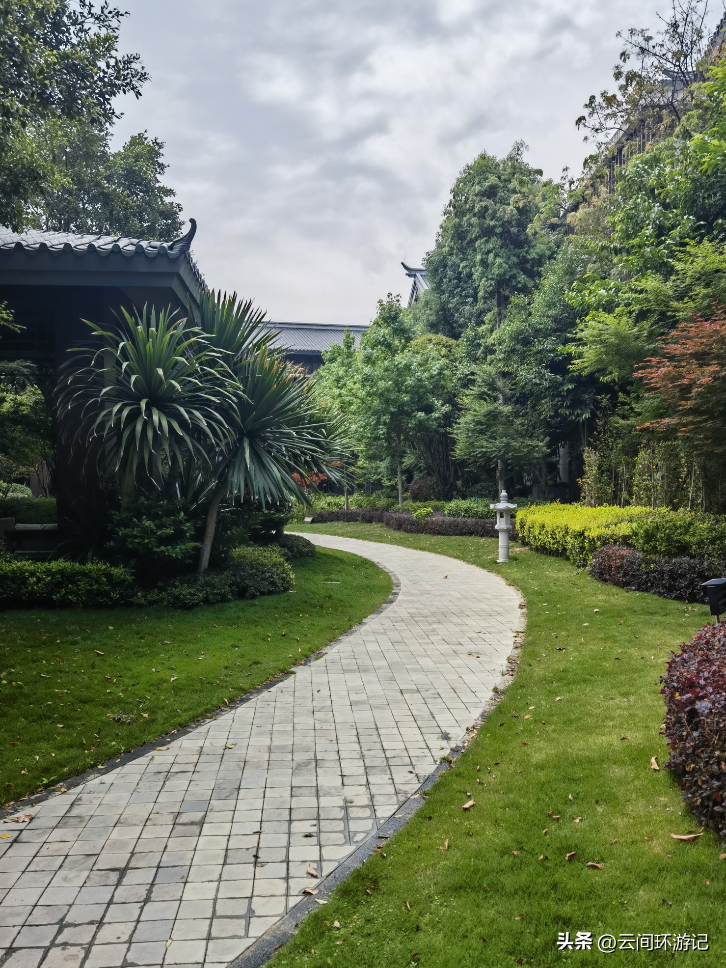 缇庝附寰峰畯娴极涔嬫梾,婕父寰峰畯