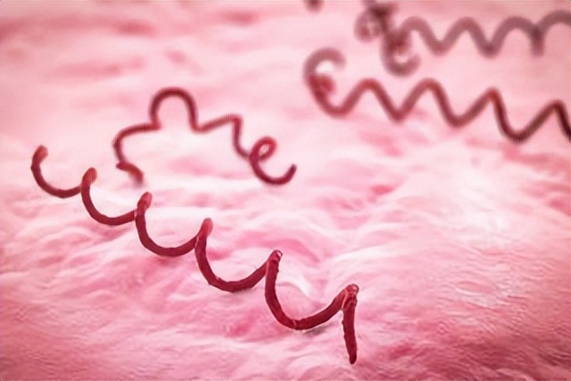 怎么在*生活性**前，判断对象有没有性病？