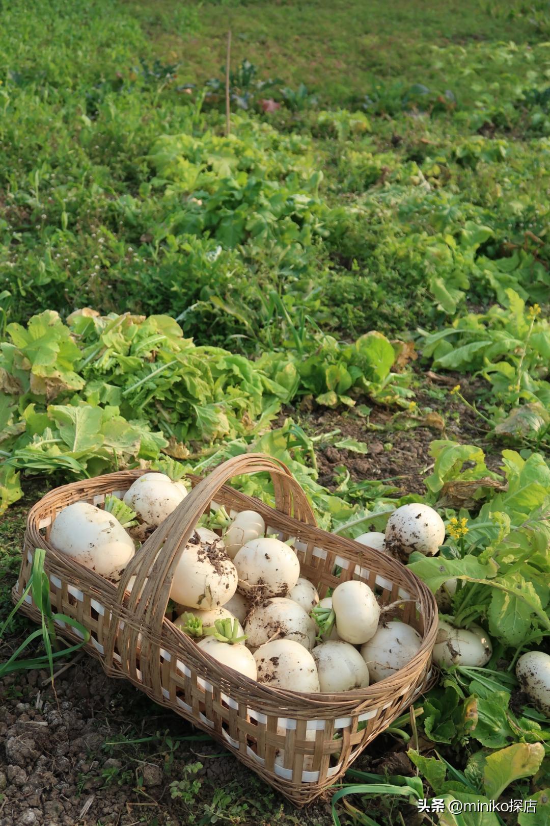 所有女孩子做过的梦，她们都帮你实现了！