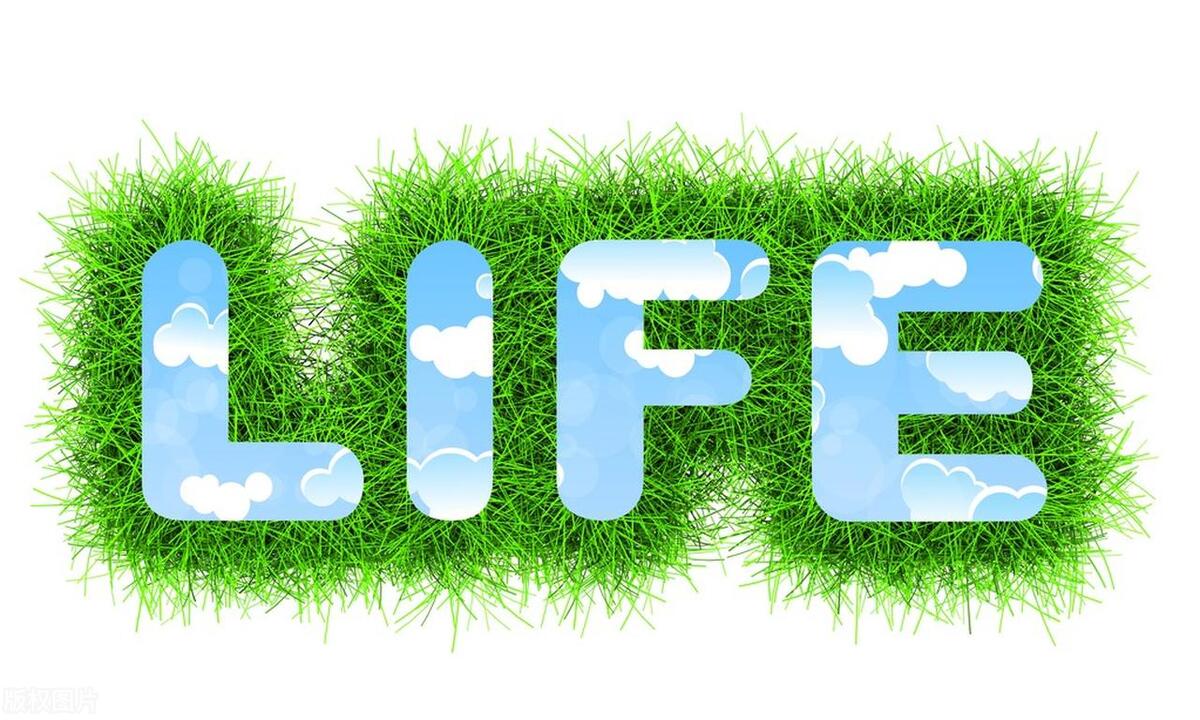 每日读书笔记经典语录,一日一书读书笔记大全