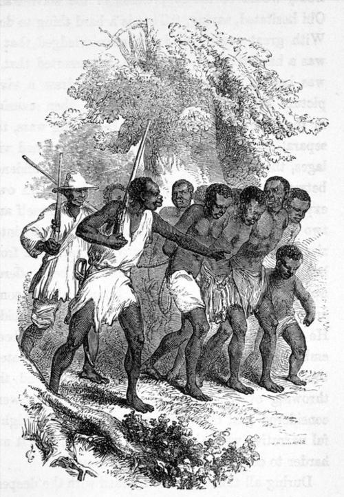 18世纪奴隶贸易最严重的原因,奴隶贸易的原因和影响