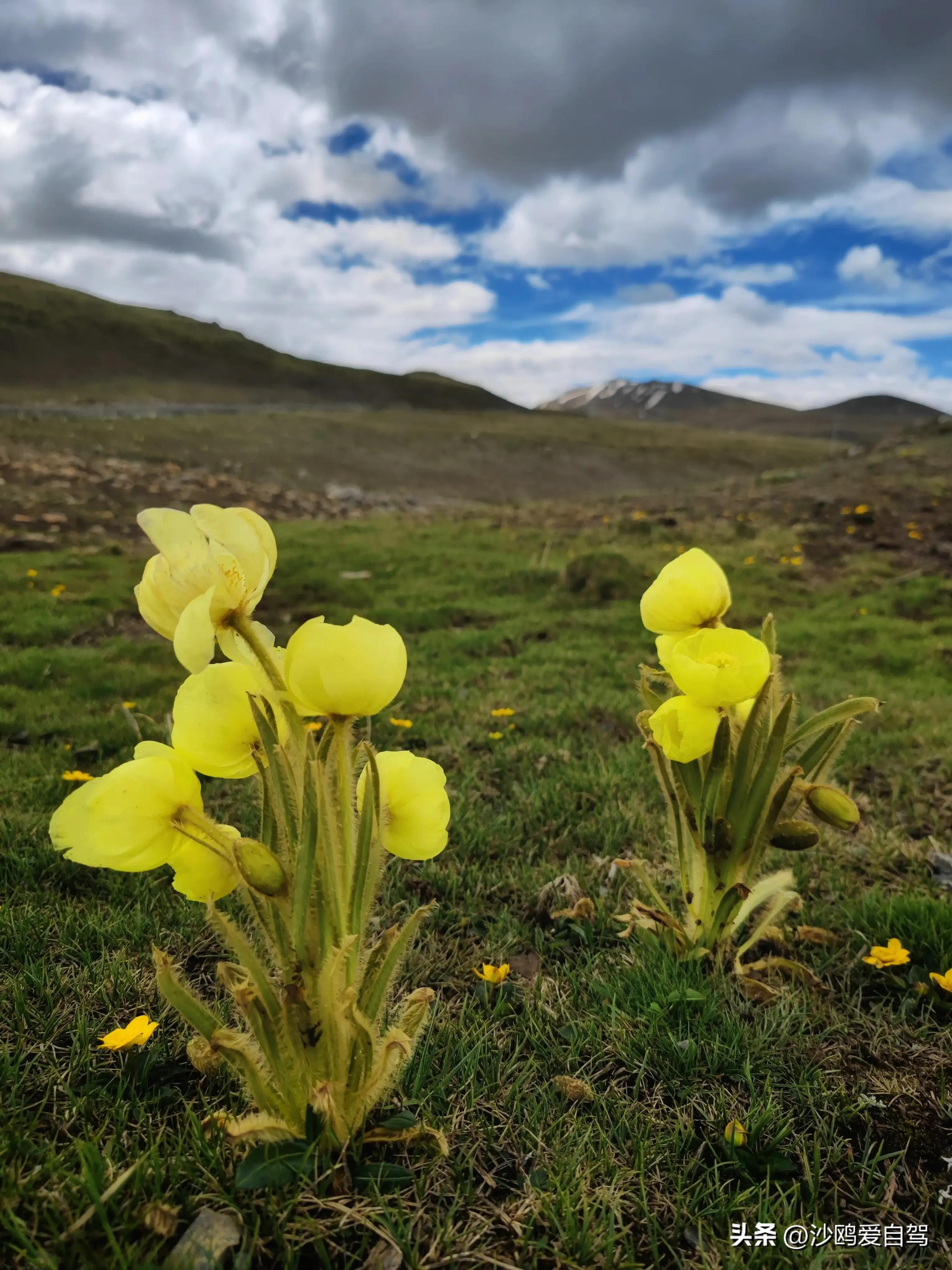 西藏自驾游三大圣湖,自驾西藏行摄之旅米堆冰川
