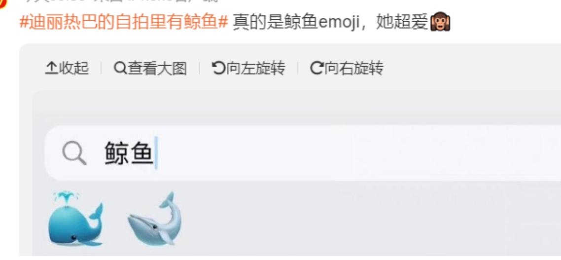 热巴工作室发微博最新消息,热巴工作室声明原声