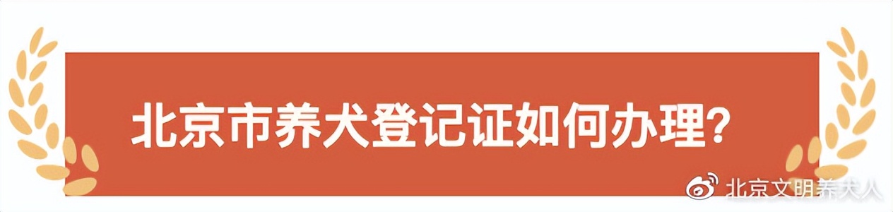 大型犬养犬证怎么办理,文明养犬给爱犬一个合法的身份