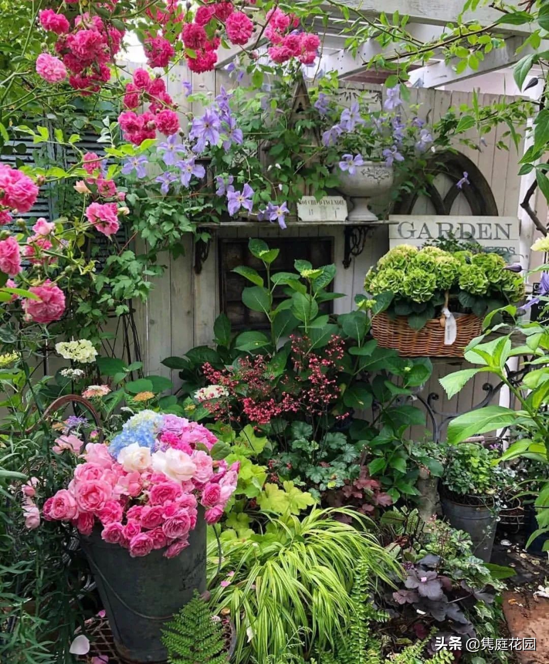 院子的生活才美好,一个装满生活气息的院子