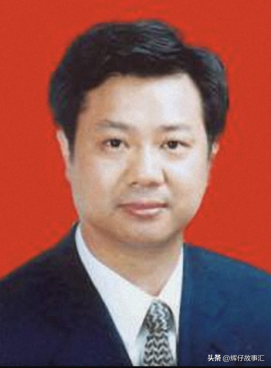 湖北省武汉市现任及历任“大老虎”落马被查