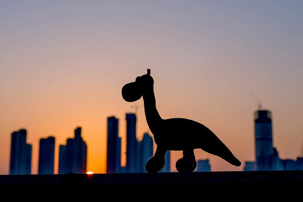 相机拍摄参数设置详细教程,相机拍摄油画效果怎么设置参数