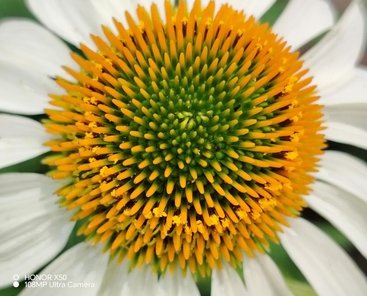 荣耀x50真实体验感受,荣耀x50上手体验打游戏