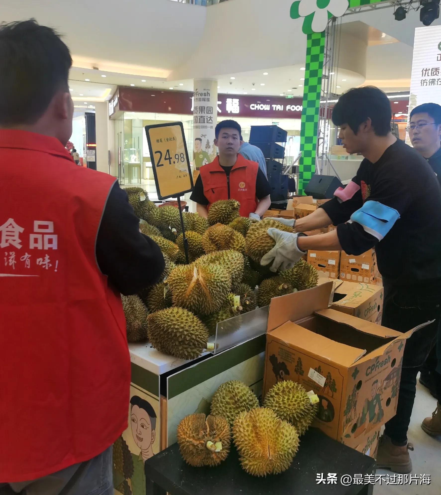 九龙城荣成榴莲,泰国金枕榴莲九龙城