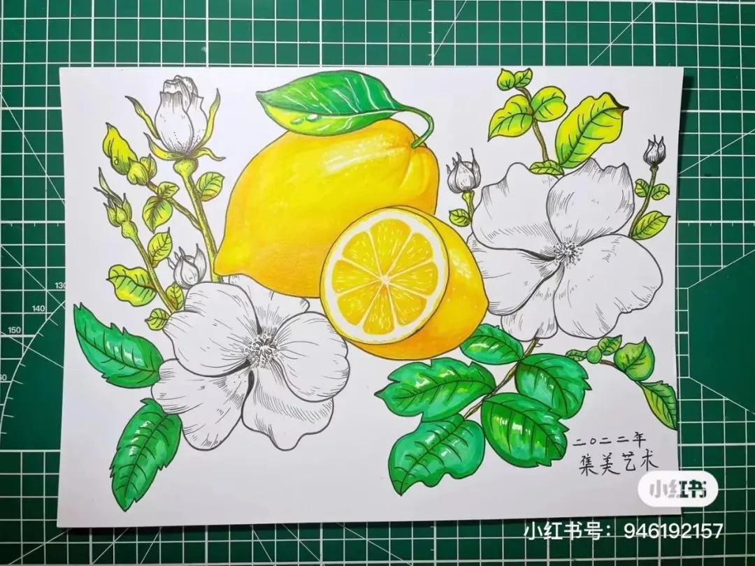 彩铅画出马克笔的效果,彩铅马克笔混合画