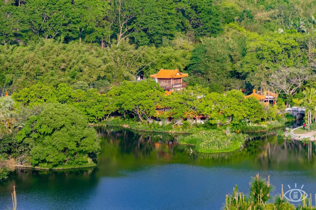 深圳最值得去的十个地方,深圳吃货必去的地方