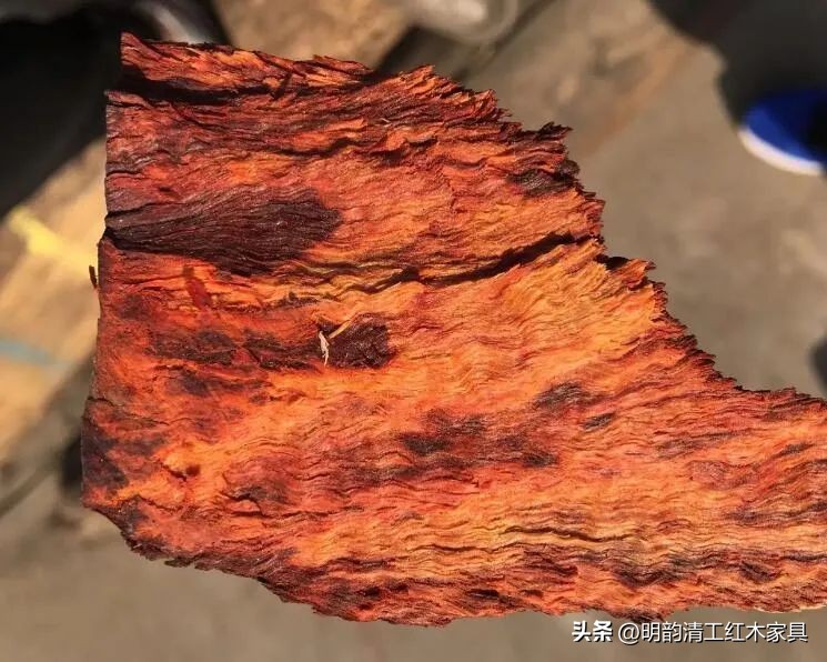 为什么血檀冒充小叶紫檀,为什么血橙那么便宜那么新鲜