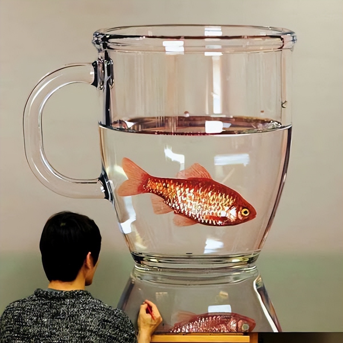 79个难得一见照片，飞机释放烟雾弹，逃票的女乘客，飞翔的蝙蝠