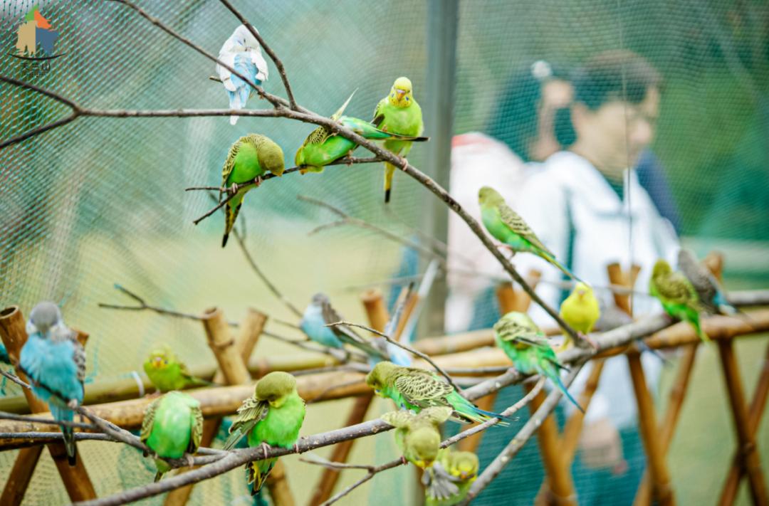 假期余额不足带孩子露营,假期余额不足赶紧郊游