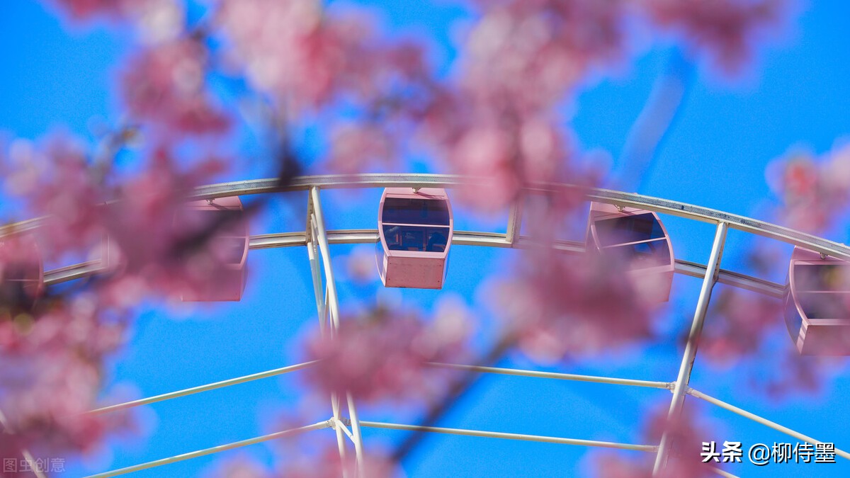 手机拍照技巧最全解析,手机拍照前先调整好哪些方面