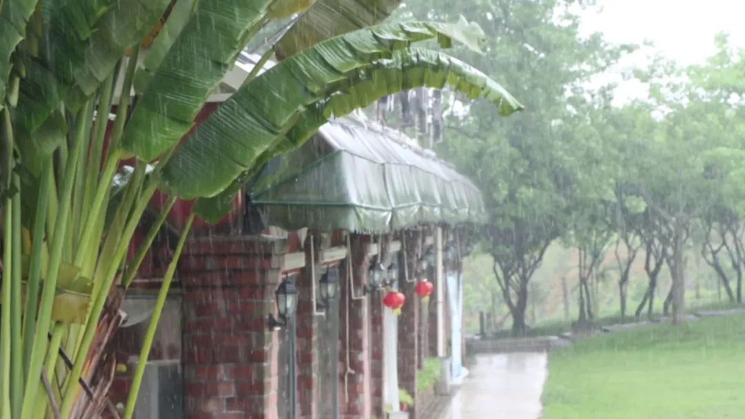 福建长泰：福之旅·主播带你游——绿色生态享福之旅