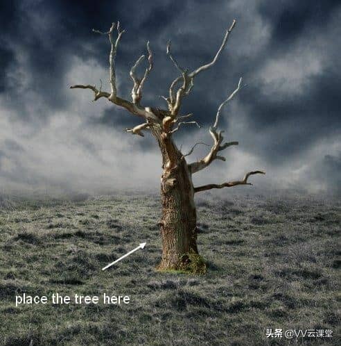 在Photoshop中创建带有月亮的树的超现实图稿，VV云课堂教程