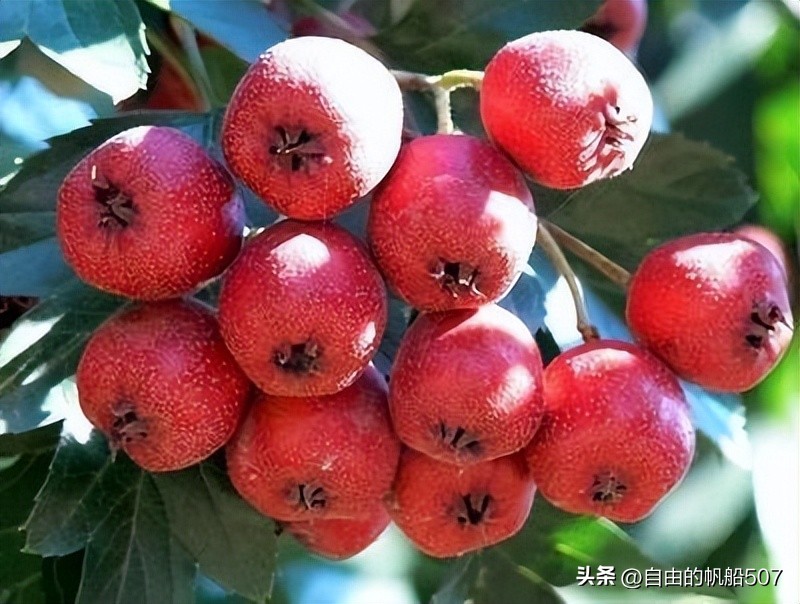 辽宁省沈阳市法库县征地补偿标准,辽宁省沈阳市法库县零食