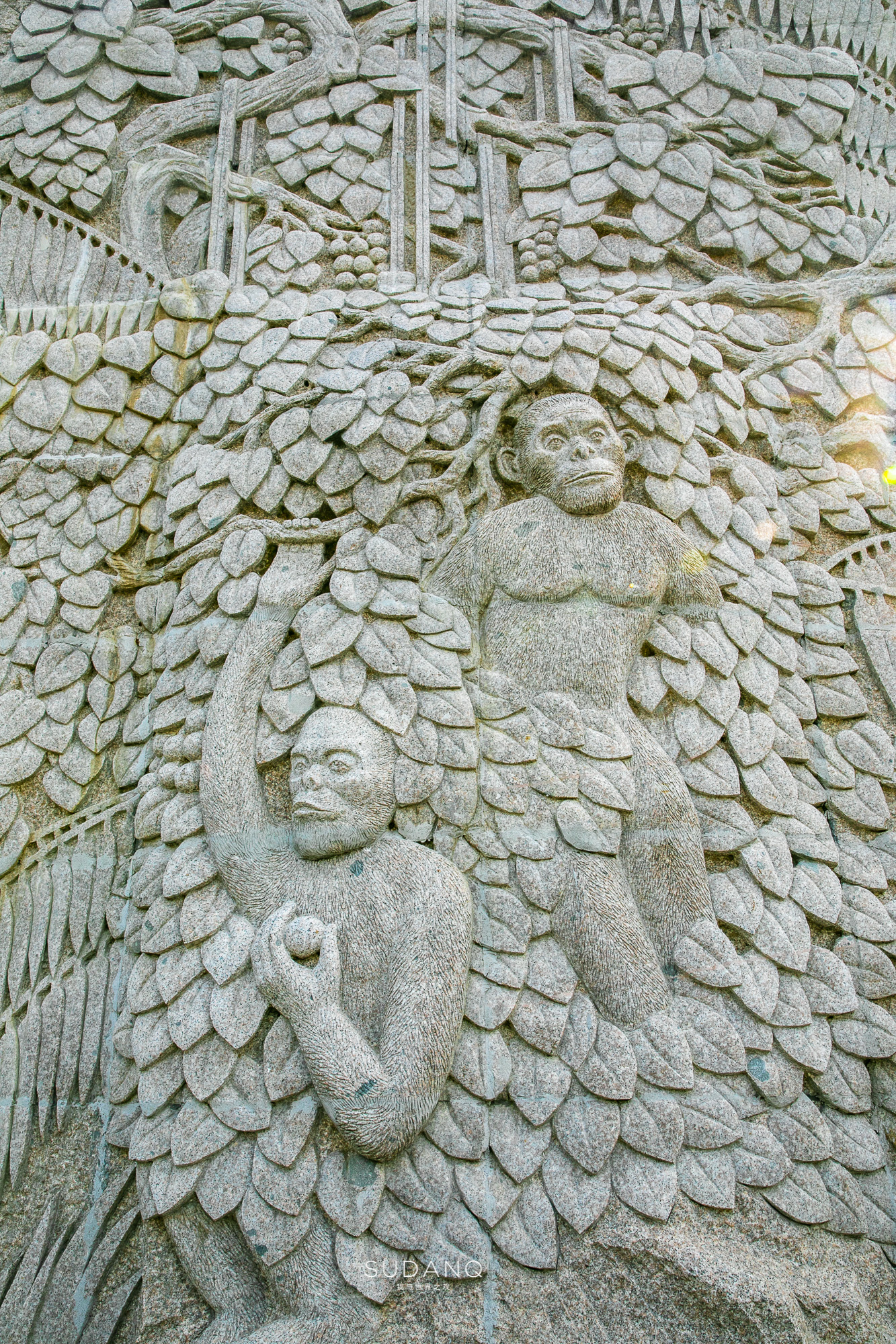 中国白酒看四川,中国白酒看贵州