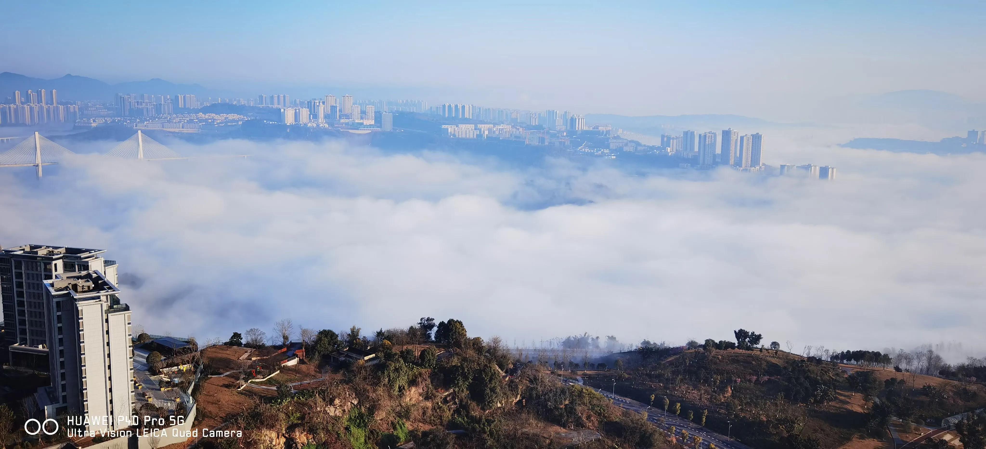 名著速读完整版有3本,名著速读国外篇