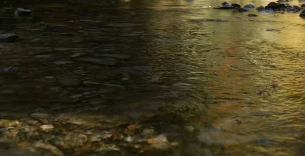 疗愈心灵的电影精彩片段,疗愈人心的日本电影